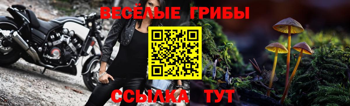 Борисоглебск  где купить наркоту  Вход с VPN  Галлюциногенные грибы MAGIC MUSHROOMS 